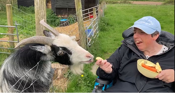 Feeding pigmy goats at Beckside Care Farm